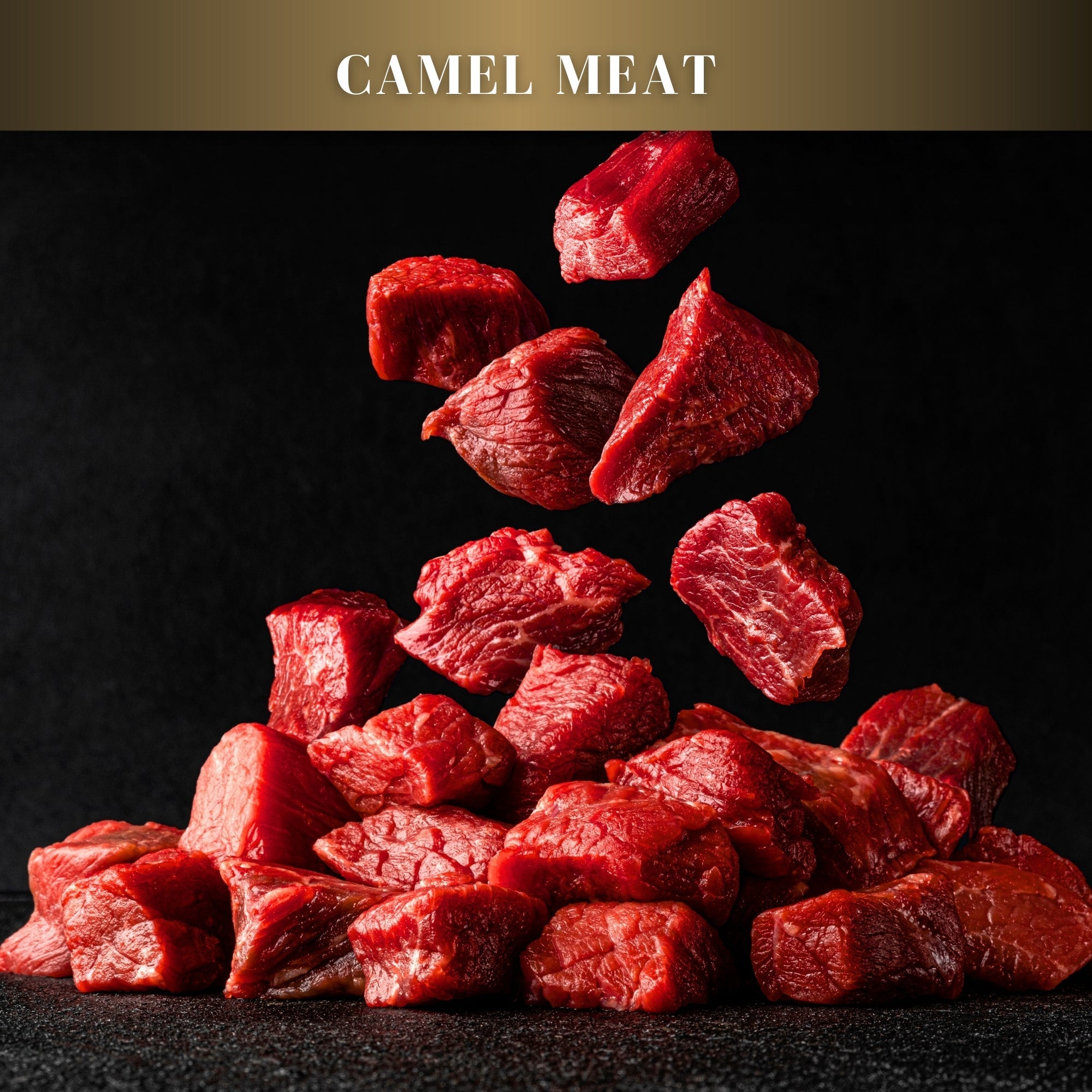 CAMEL MEAT