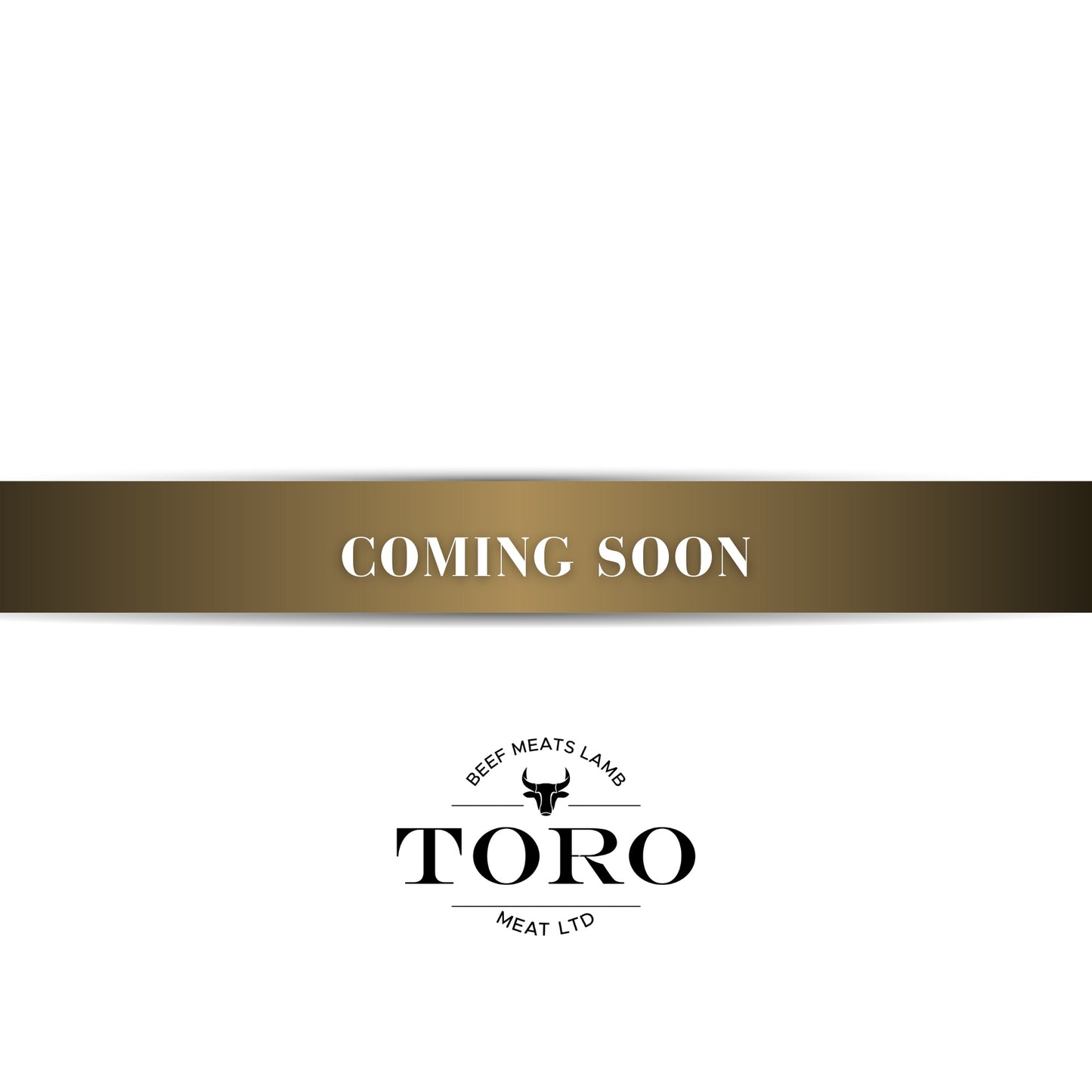 Toro Merch — Coming Soon